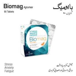Lehning Biomag
