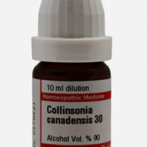Collinsonia Canadensis