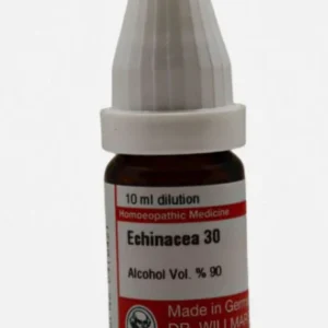 Echinacea