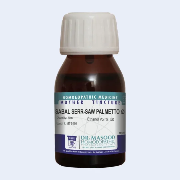 Sabal serrulata Q