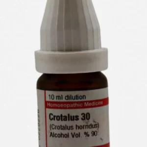 Crotalus Horridus
