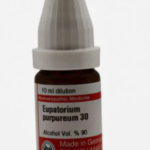 Eupatroium Purpureum