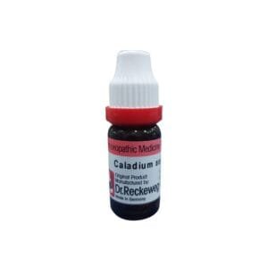 Caladium Seguinum 1M (1000) - Dr Reckeweg