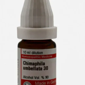 Chimaphila