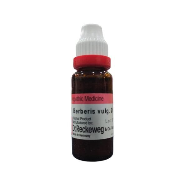 Berberis Vulgaris Q Mother Tincture